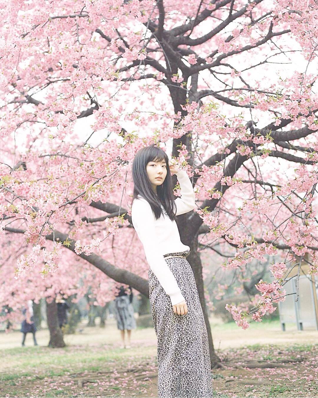 因奇迹美照 称作千年一遇天使正妹的「桥本环奈」