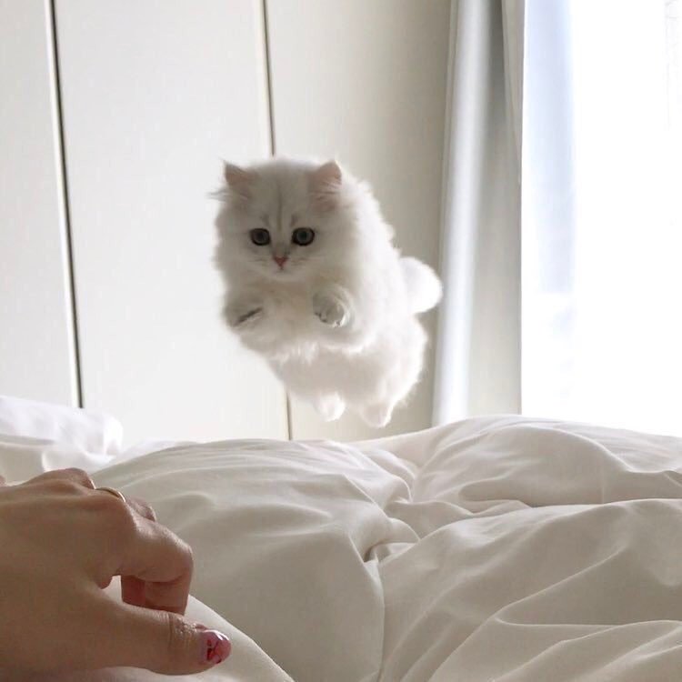 感觉好乱啊~~~