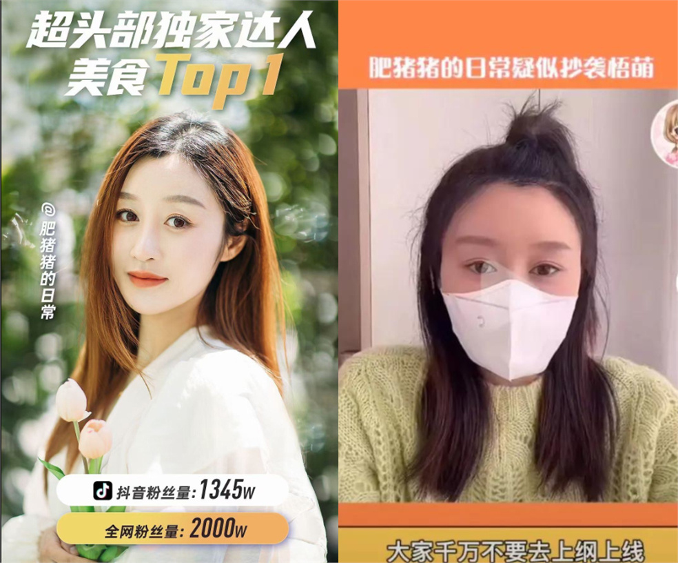 肥猪猪的日常翻车抄袭事件 具体怎么回事？
