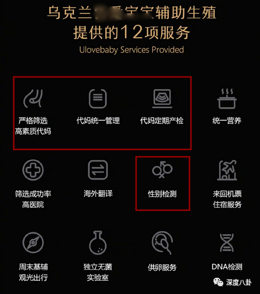 原来网红梅爱偲已经掌握了流量密码