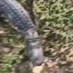 涨姿势 