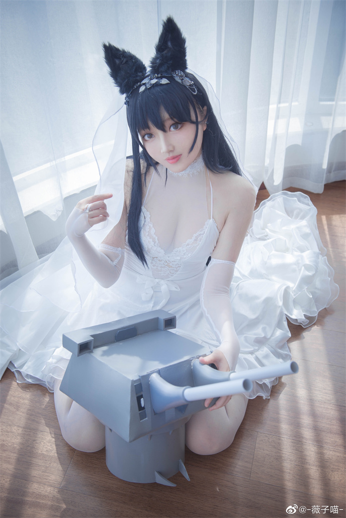 薇子喵 (2)