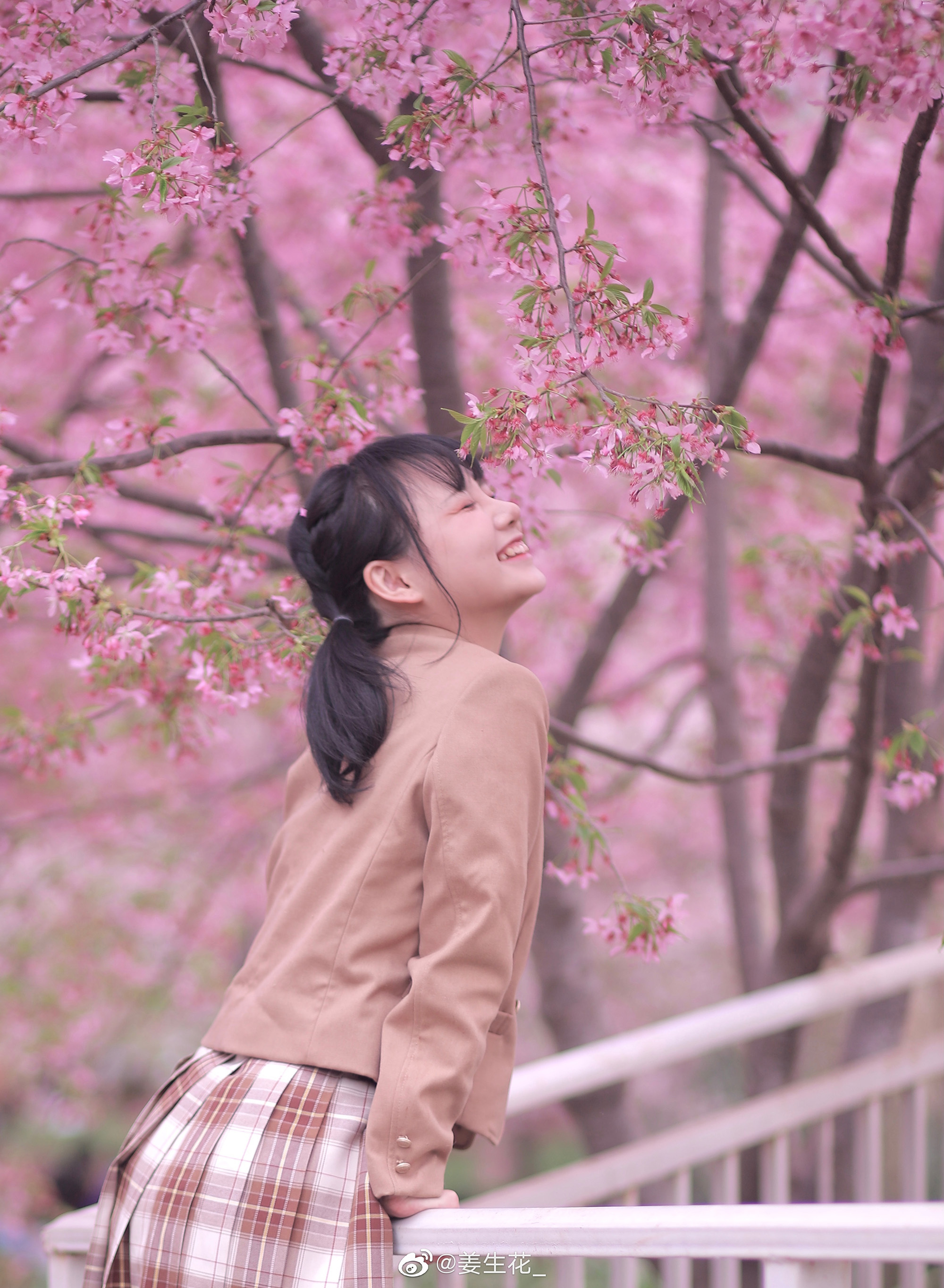 姜生花 桜色舞うころ