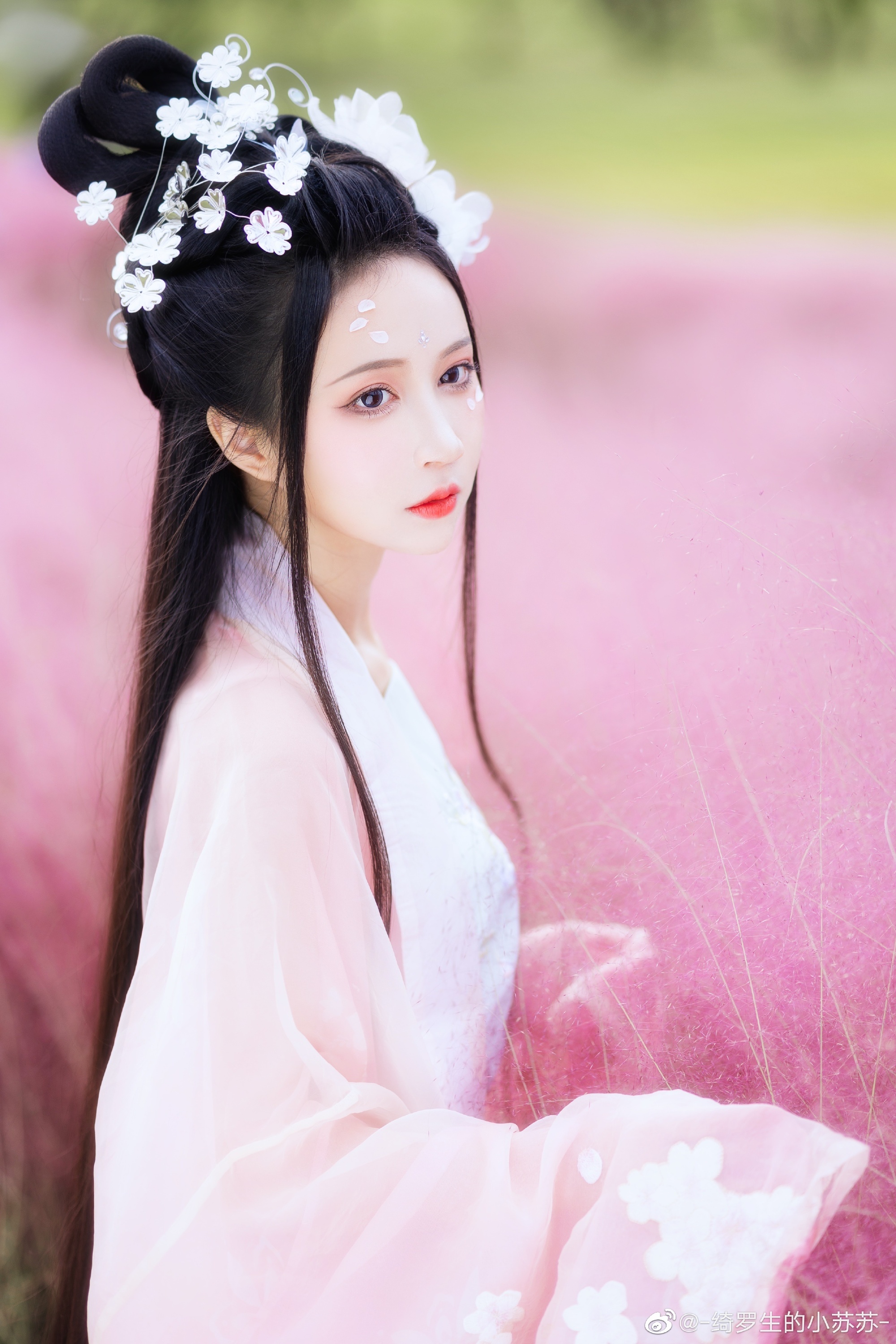 绮罗生的小苏苏个人资料介绍及图片分享