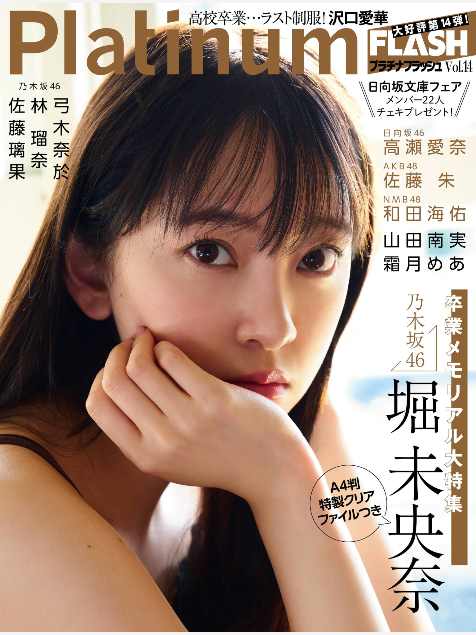 Platinum FLASH Vol.14 堀未央奈