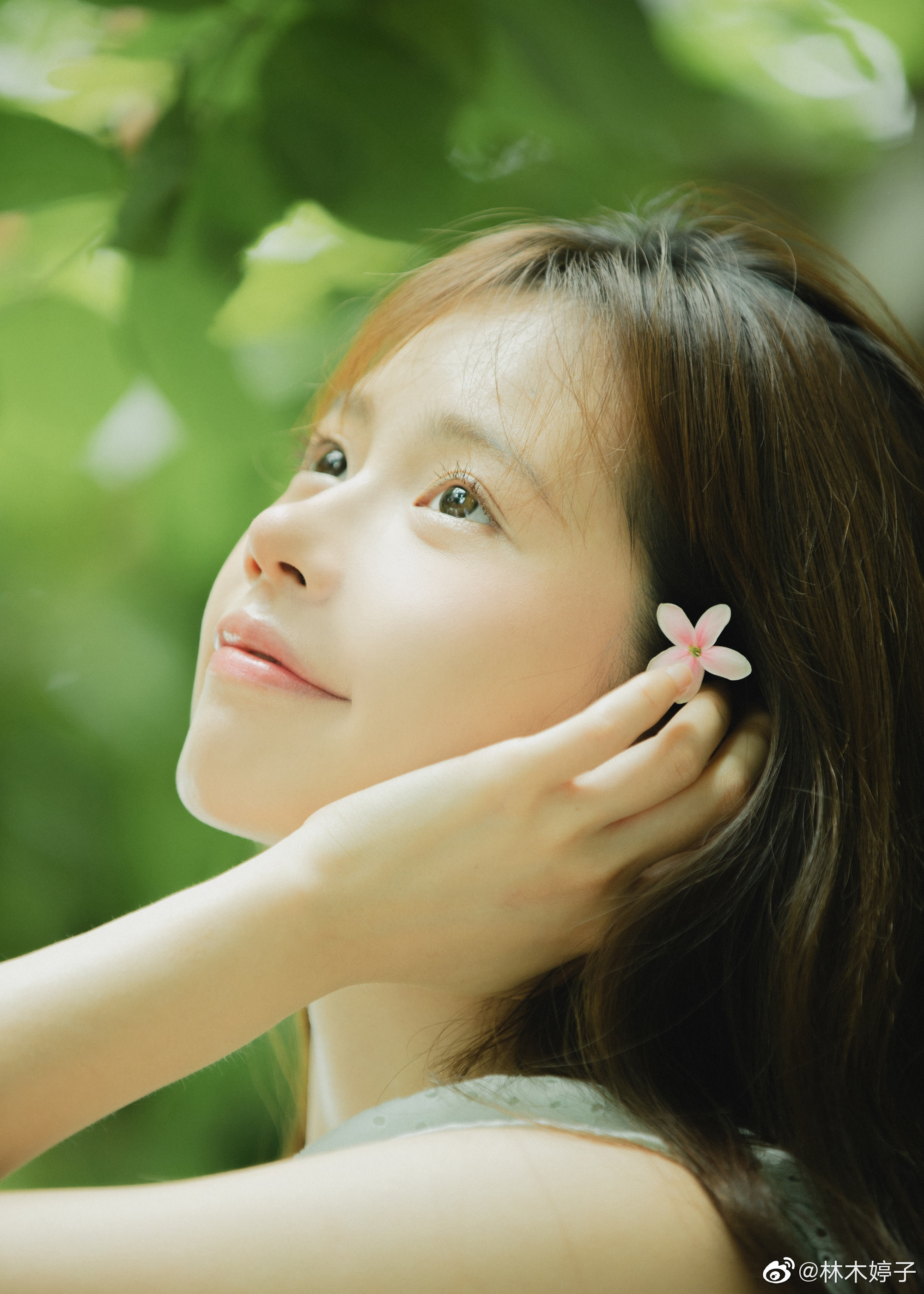 林木婷子的夏天