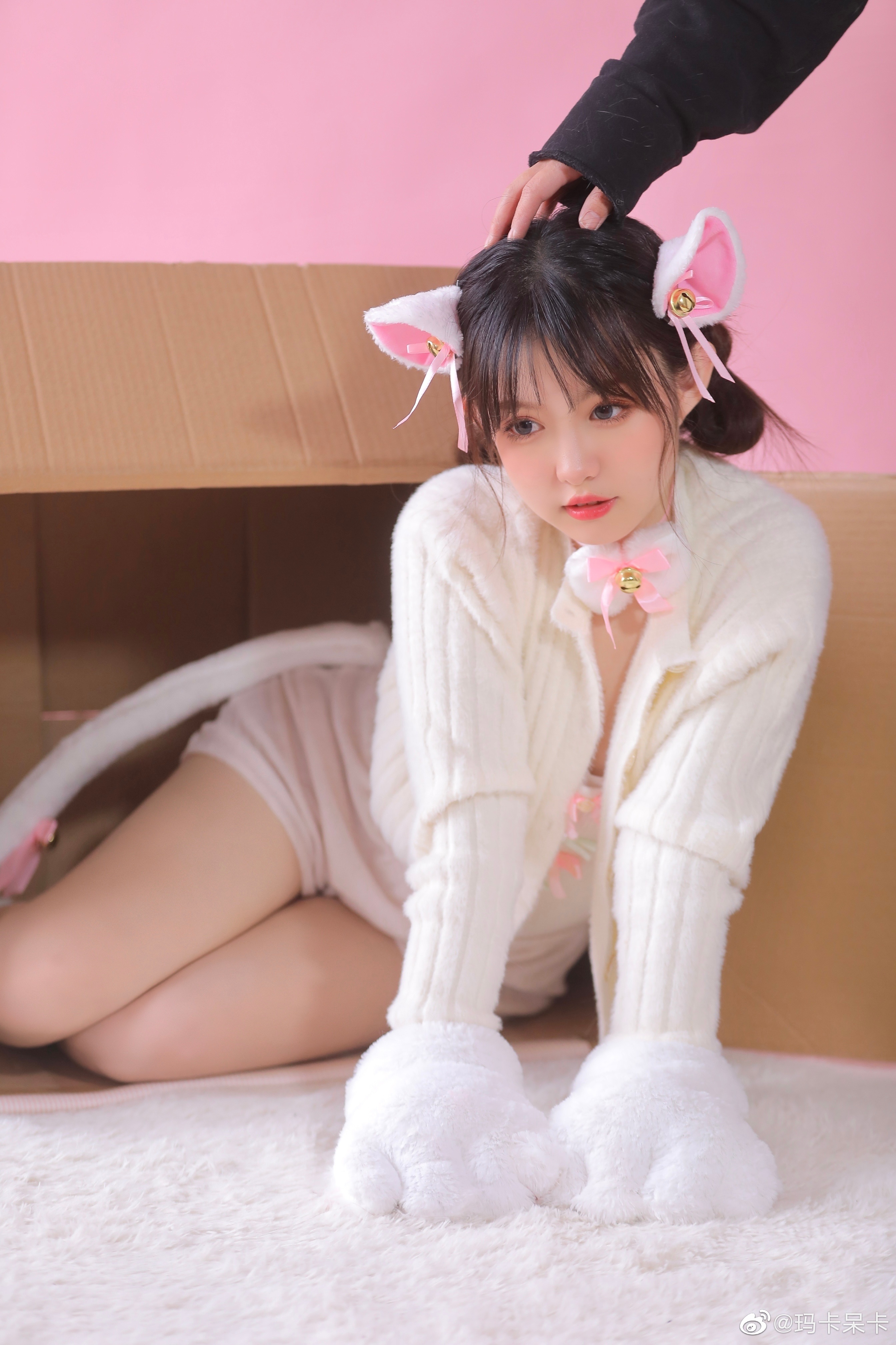 我心爱的小猫咪