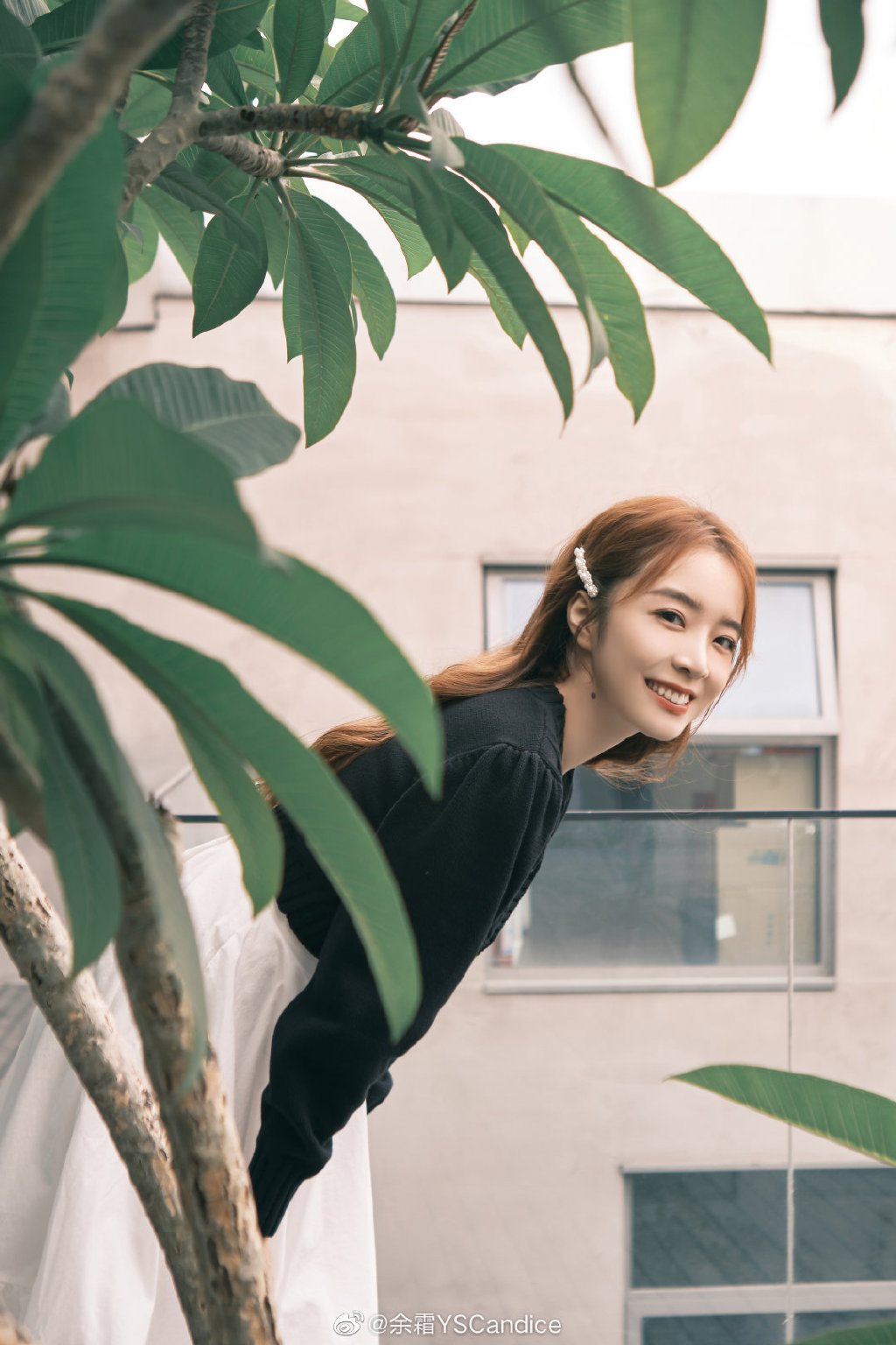 午休后的邂逅,遇见了她